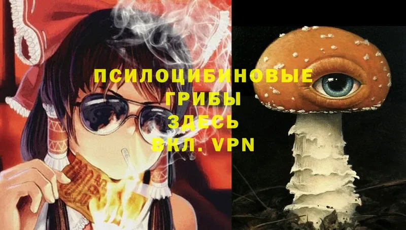 Псилоцибиновые грибы Magic Shrooms  как найти закладки  Ряжск 